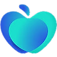 icon 21 Home