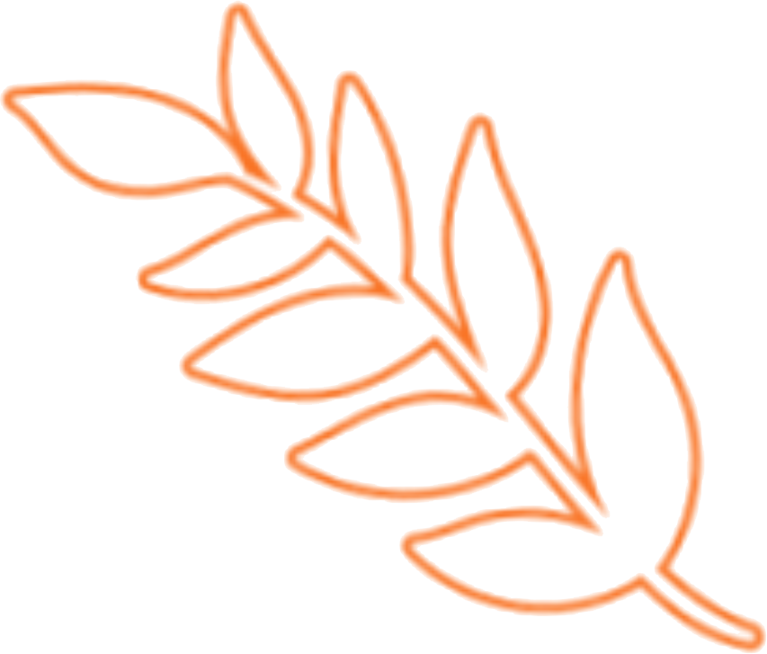 right leaf mommy-makeover-ar